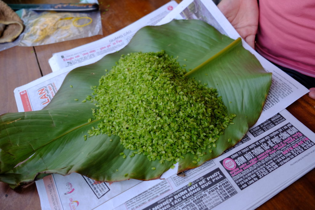 Nezralá zelená rýže, která se jí syrová. Vietnamista Zdeněk přirovnával k našemu burčáku